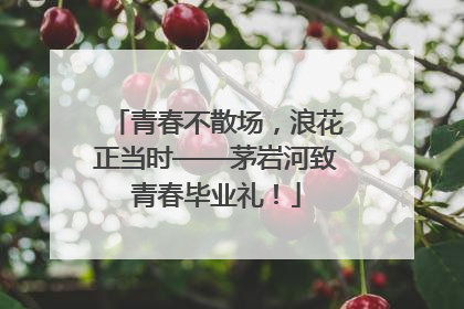 青春不散场，浪花正当时——茅岩河致青春毕业礼！