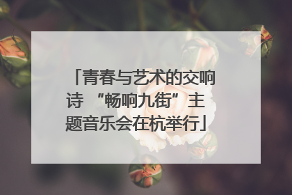 青春与艺术的交响诗 “畅响九街”主题音乐会在杭举行