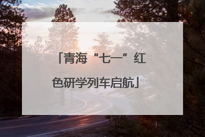 青海“七一”红色研学列车启航