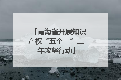 青海省开展知识产权“五个一”三年攻坚行动