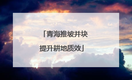 青海推坡并块提升耕地质效
