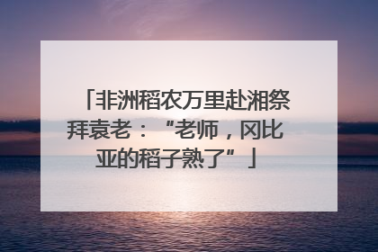 非洲稻农万里赴湘祭拜袁老：“老师，冈比亚的稻子熟了”