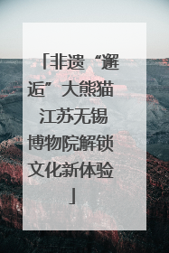 非遗“邂逅”大熊猫 江苏无锡博物院解锁文化新体验