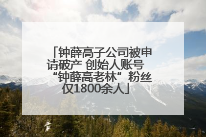 钟薛高子公司被申请破产 创始人账号“钟薛高老林”粉丝仅1800余人