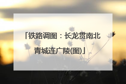 铁路调图：长龙贯南北 青城连广陵(图)