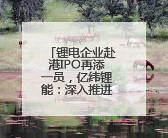 锂电企业赴港IPO再添一员，亿纬锂能：深入推进全球化战略