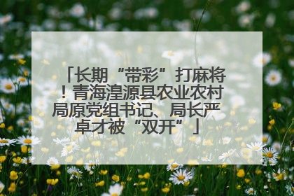 长期“带彩”打麻将！青海湟源县农业农村局原党组书记、局长严卓才被“双开”