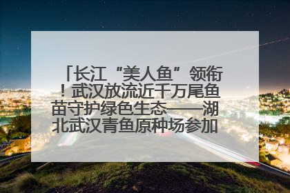 长江“美人鱼”领衔！武汉放流近千万尾鱼苗守护绿色生态——湖北武汉青鱼原种场参加2025年“全国放鱼日”增殖放流活动