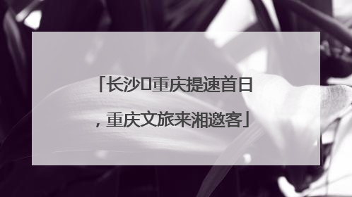 长沙⇌重庆提速首日，重庆文旅来湘邀客
