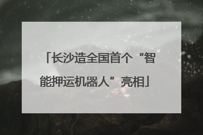 长沙造全国首个“智能押运机器人”亮相