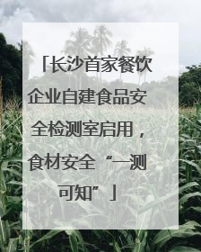 长沙首家餐饮企业自建食品安全检测室启用，食材安全“一测可知”