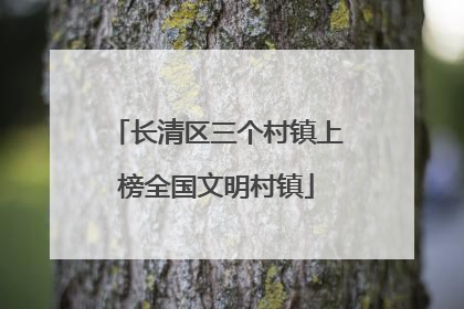 长清区三个村镇上榜全国文明村镇
