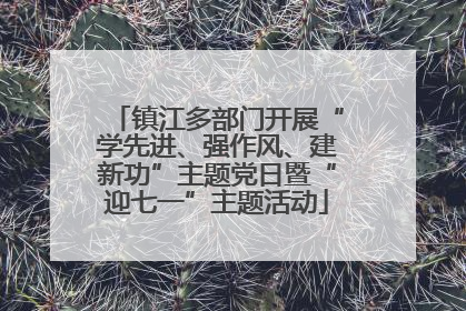 镇江多部门开展“学先进、强作风、建新功”主题党日暨“迎七一”主题活动