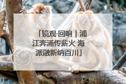 镜观·回响｜浦江奔涌传薪火 海派融新纳百川