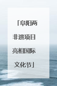阜阳两非遗项目亮相国际文化节