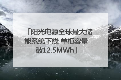 阳光电源全球最大储能系统下线 单柜容量破12.5MWh