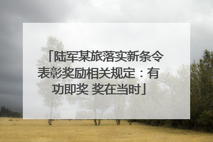 陆军某旅落实新条令表彰奖励相关规定：有功即奖 奖在当时