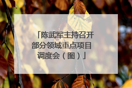 陈武军主持召开部分领域重点项目调度会（图）
