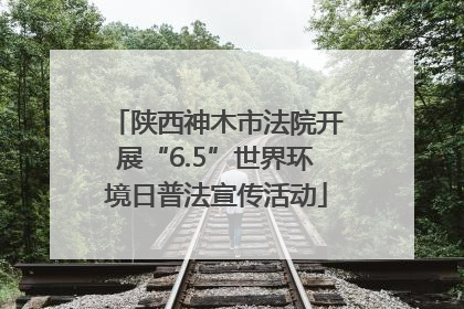 陕西神木市法院开展“6.5”世界环境日普法宣传活动