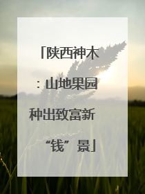 陕西神木：山地果园种出致富新“钱”景