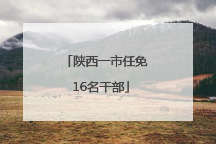 陕西一市任免16名干部