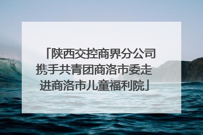 陕西交控商界分公司携手共青团商洛市委走进商洛市儿童福利院