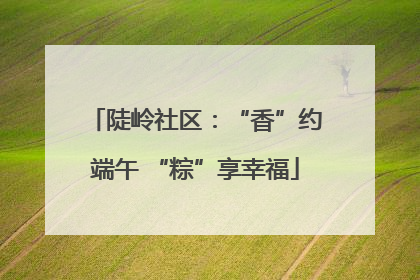 陡岭社区：“香”约端午 “粽”享幸福