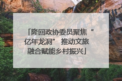 隆回政协委员聚焦“亿年龙洞” 推动文旅融合赋能乡村振兴