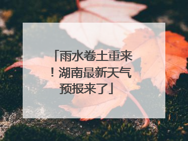 雨水卷土重来！湖南最新天气预报来了