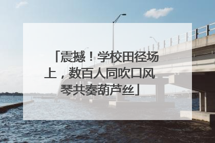 震撼！学校田径场上，数百人同吹口风琴共奏葫芦丝