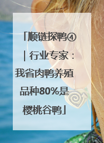 顺链探鸭④｜行业专家：我省肉鸭养殖品种80%是樱桃谷鸭