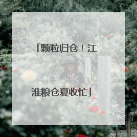 颗粒归仓！江淮粮仓夏收忙