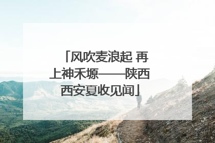 风吹麦浪起 再上神禾塬——陕西西安夏收见闻