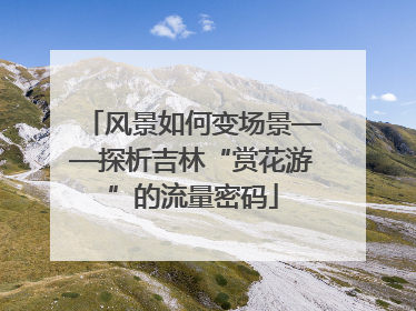 风景如何变场景——探析吉林“赏花游”的流量密码