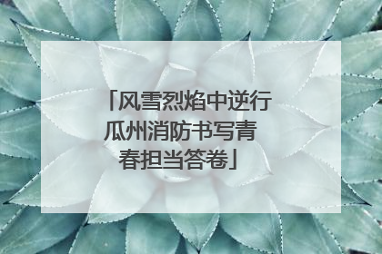风雪烈焰中逆行 瓜州消防书写青春担当答卷