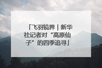 飞羽镜界｜新华社记者对“高原仙子”的四季追寻