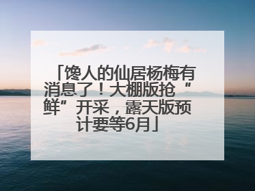 馋人的仙居杨梅有消息了！大棚版抢“鲜”开采，露天版预计要等6月