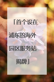 首个设在浦东的海外园区服务站揭牌