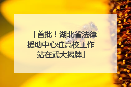 首批！湖北省法律援助中心驻高校工作站在武大揭牌