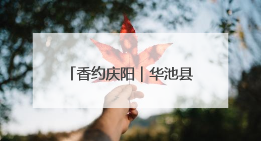 香约庆阳｜华池县城壕镇：“农文旅”融合赋能乡村振兴