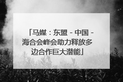 马媒：东盟－中国－海合会峰会助力释放多边合作巨大潜能