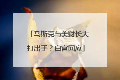 马斯克与美财长大打出手？白宫回应