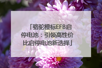 骆驼橙标EFB启停电池：引领高性价比启停电池新选择