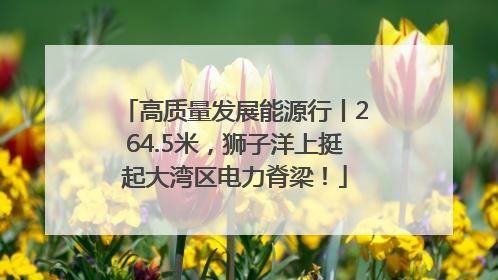 高质量发展能源行丨264.5米，狮子洋上挺起大湾区电力脊梁！