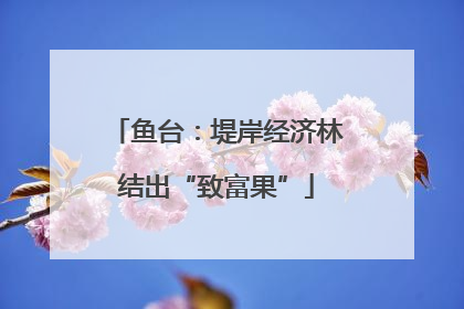 鱼台：堤岸经济林结出“致富果”