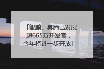鲲鹏、昇腾已发展超665万开发者，今年将进一步开放