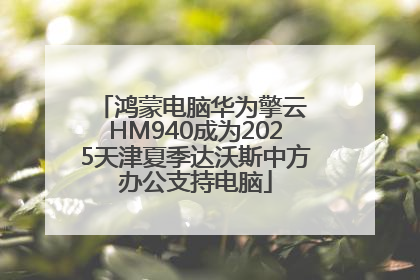 鸿蒙电脑华为擎云 HM940成为2025天津夏季达沃斯中方办公支持电脑