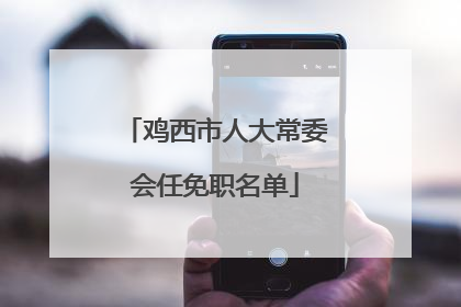 鸡西市人大常委会任免职名单