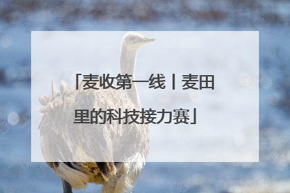 麦收第一线丨麦田里的科技接力赛