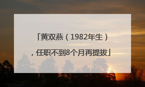 黄双燕（1982年生），任职不到8个月再提拔